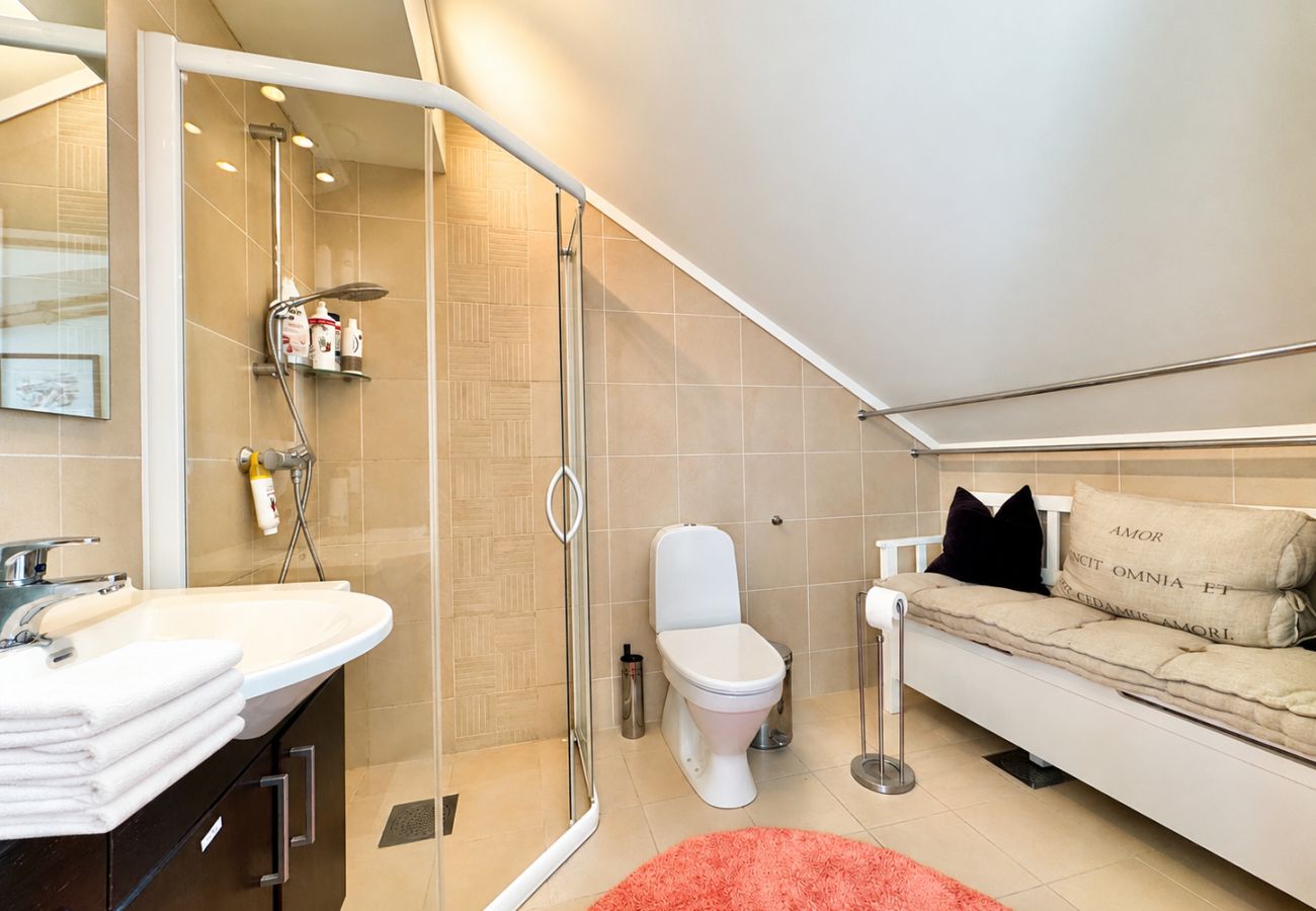 Apartment in Hol - Sjelefred - stor leilighet med sentral beliggenhet