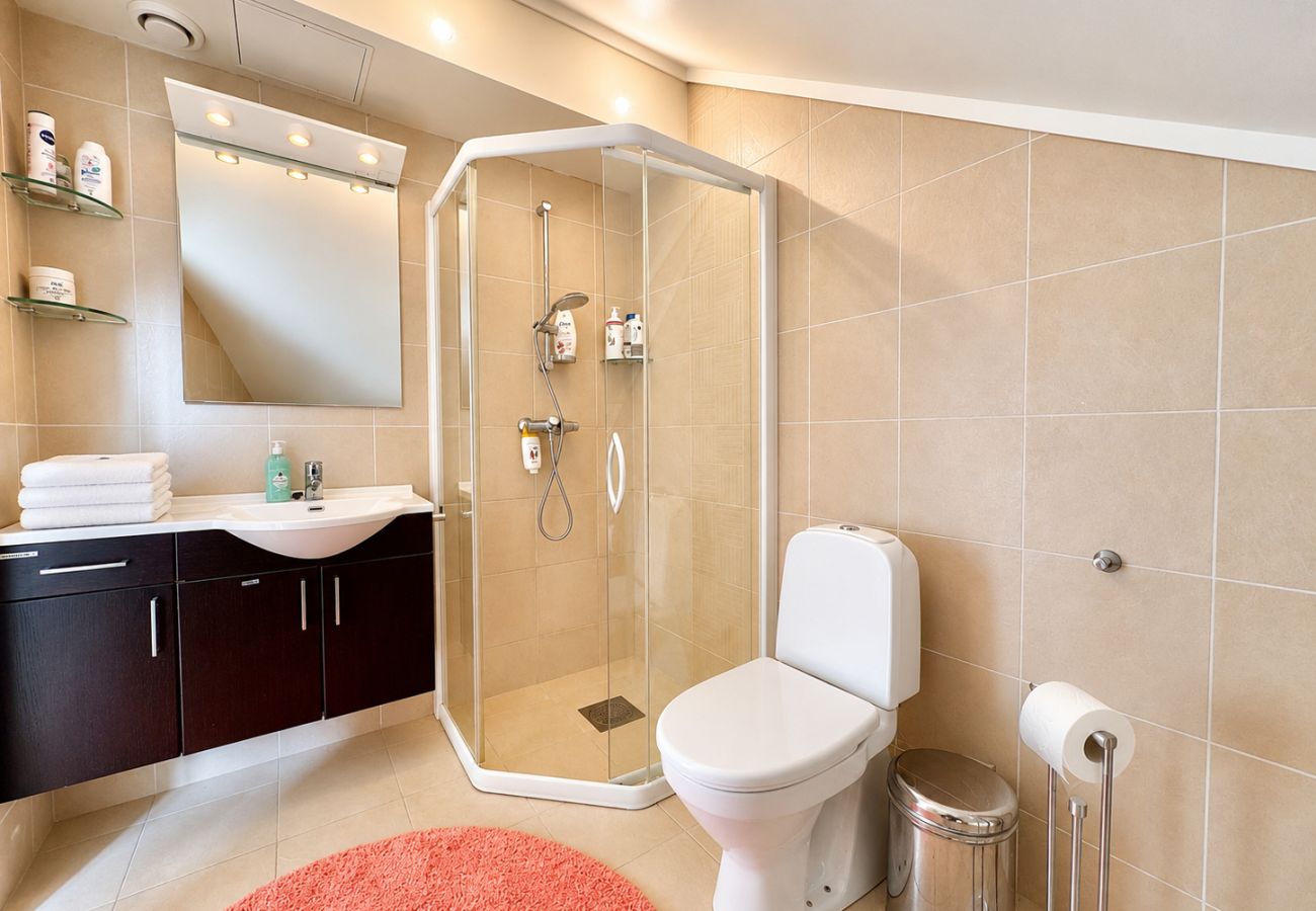 Apartment in Hol - Sjelefred - stor leilighet med sentral beliggenhet