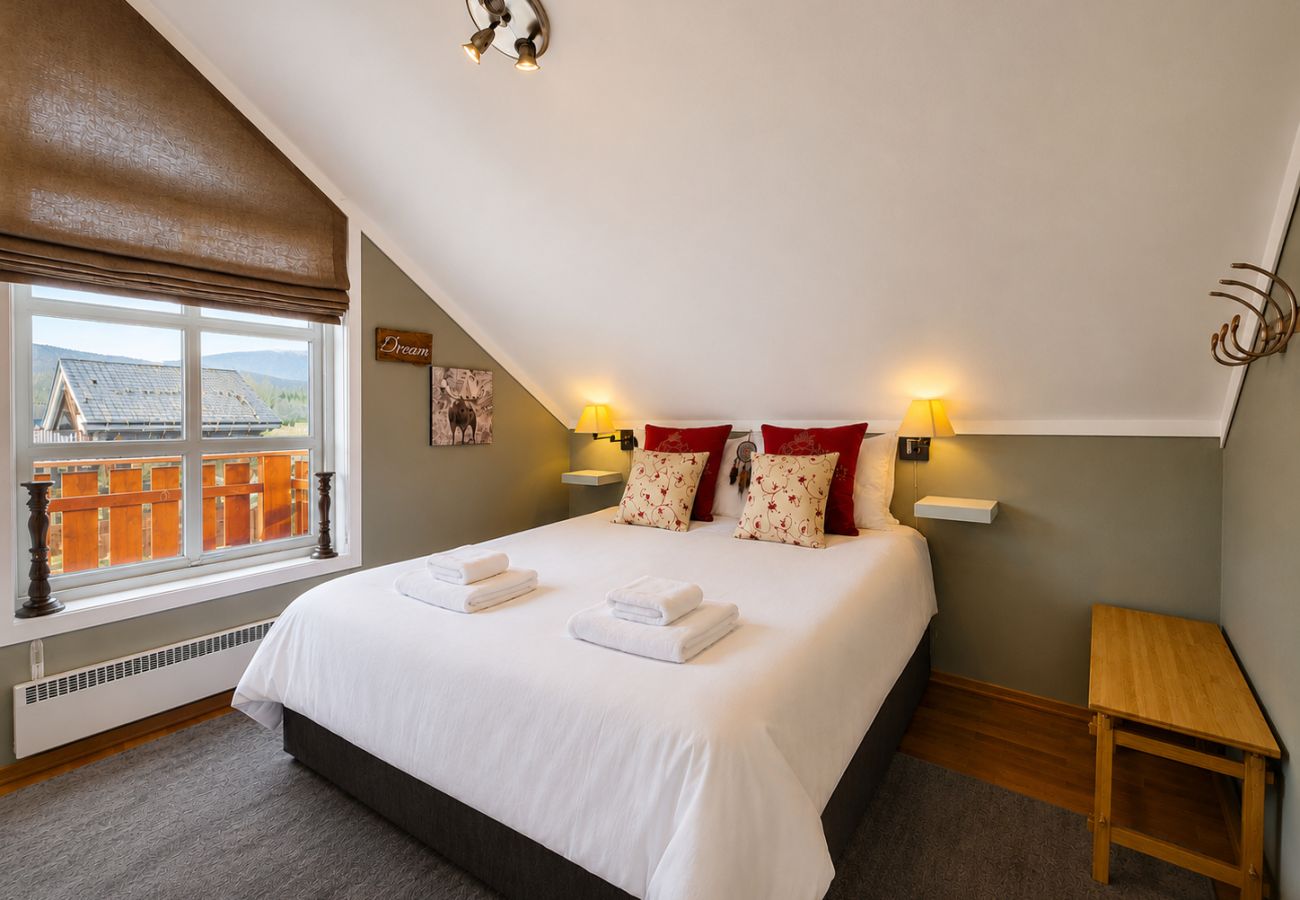 Apartment in Hol - Sjelefred - stor leilighet med sentral beliggenhet