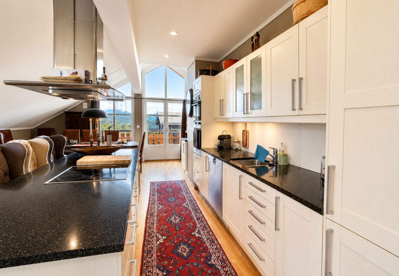 Apartment in Hol - Sjelefred - stor leilighet med sentral beliggenhet