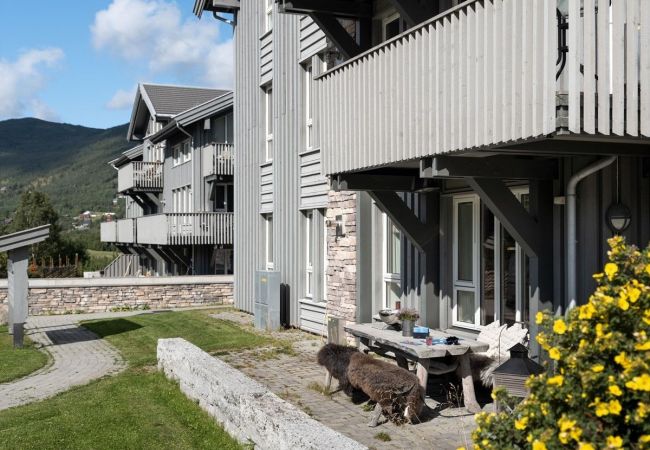 Apartment in Hol - Ski in & ski out - 2 parking spaces Apartment in Hol - Ski in & ski out - 2 parking spaces