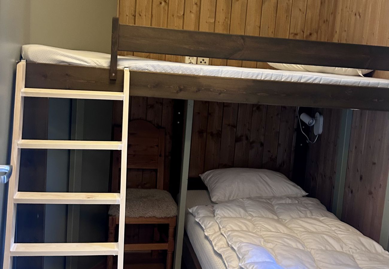 Apartment in Hol - Ski in & ski out - 2 parking spaces