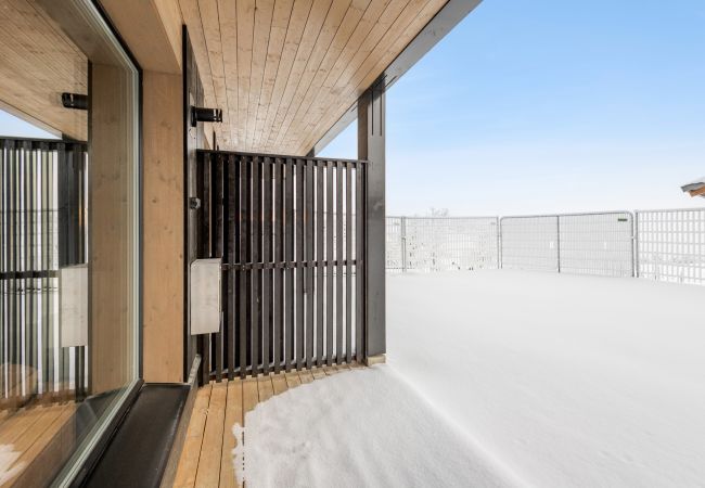 Apartment in Hol - New 2 bedroom apt. - ski in / ski out