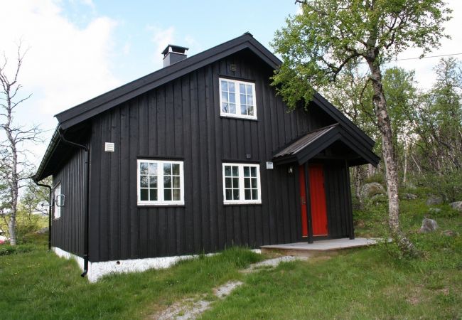 Cabin in Hol - Granebo - Ustaoset