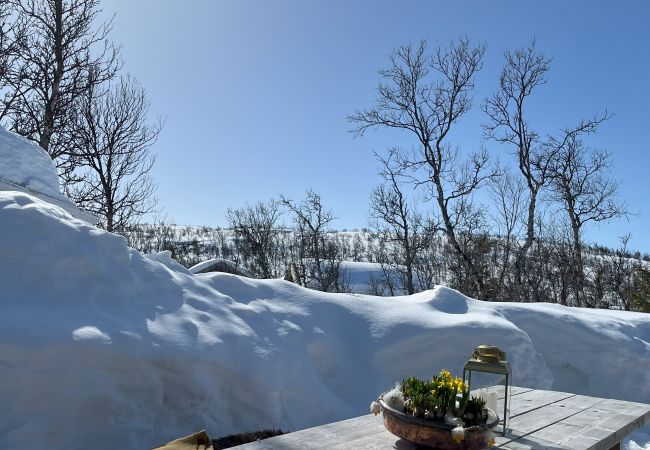Cabin in Hol - Cozy family friendly cabin at beautiful location! Cabin in Hol - Cozy family friendly cabin at beautiful location!