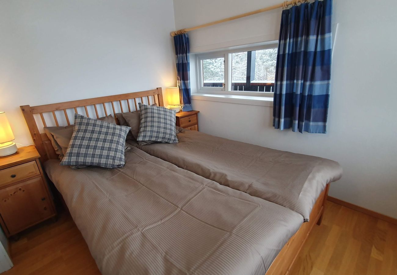 Apartment in Hol - Solli Apartment - cosy 3 bedroom apartment, excellent location for town and ski