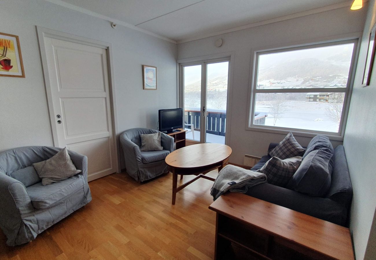 Apartment in Hol - Solli Apartment - cosy 3 bedroom apartment, excellent location for town and ski