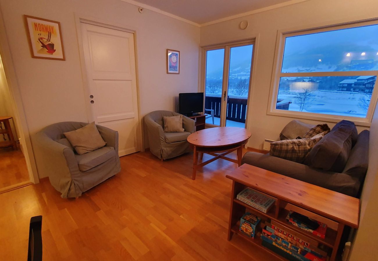 Apartment in Hol - Solli Apartment - cosy 3 bedroom apartment, excellent location for town and ski