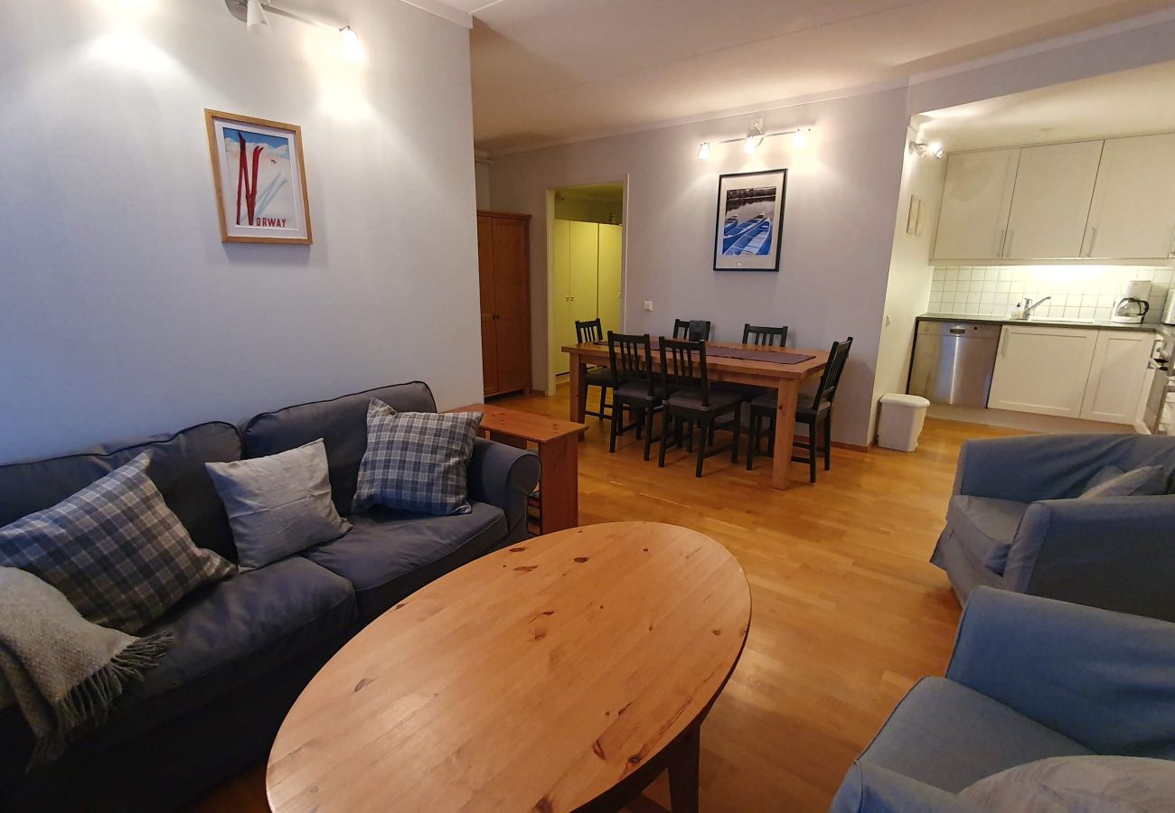 Apartment in Hol - Solli Apartment - cosy 3 bedroom apartment, excellent location for town and ski
