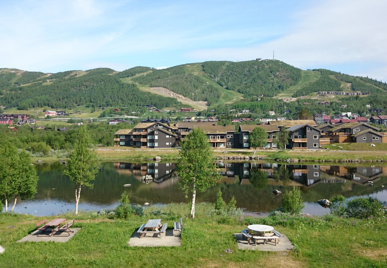 Apartment in Hol - Solli Apartment - cosy 3 bedroom apartment, excellent location for town and ski