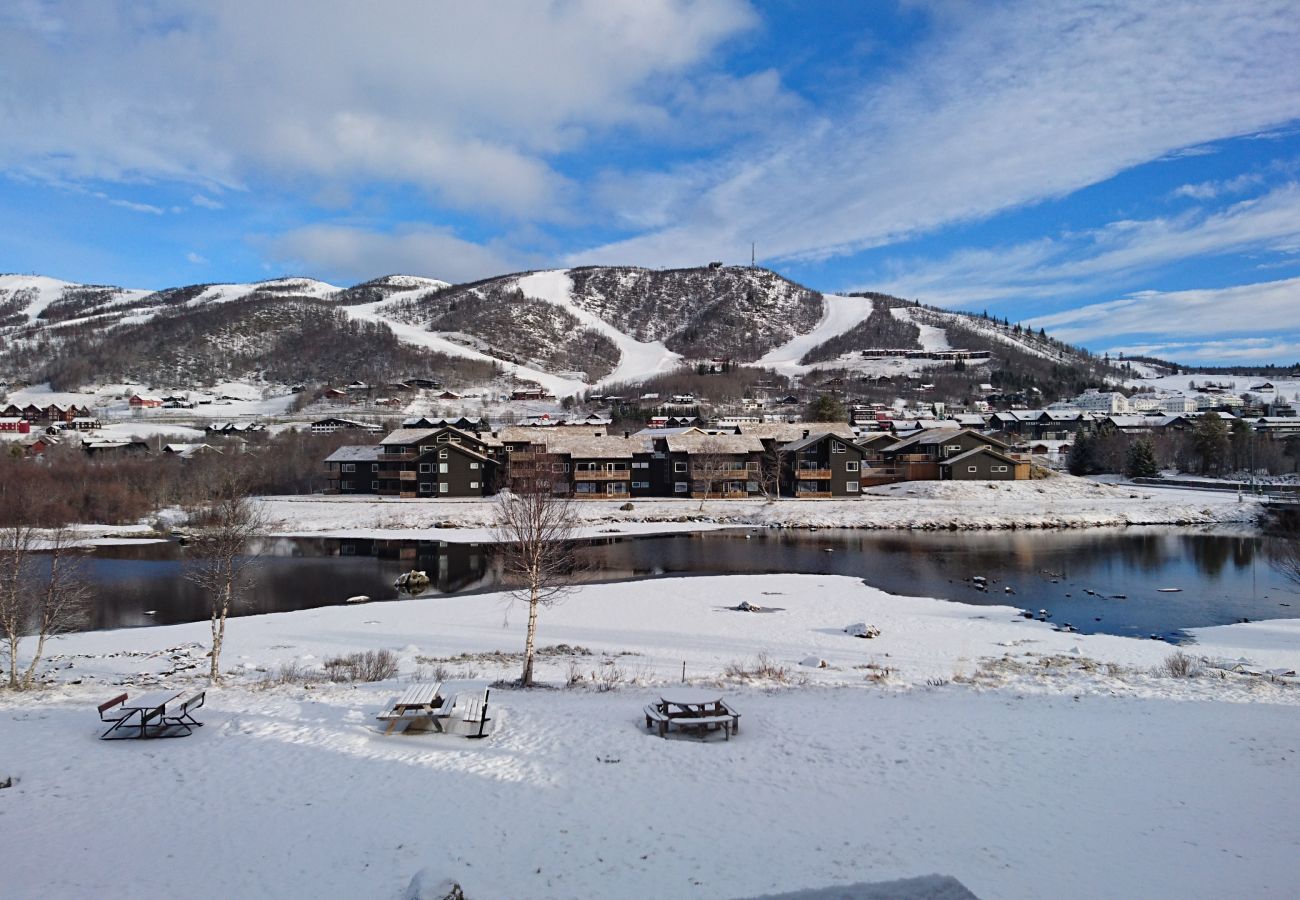 Apartment in Hol - Solli Apartment - cosy 3 bedroom apartment, excellent location for town and ski