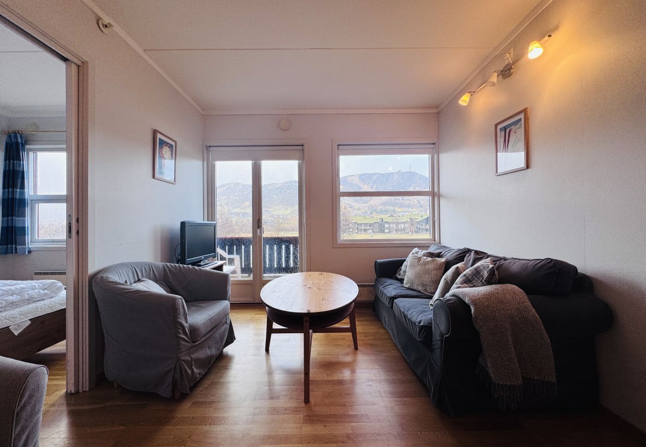 Apartment in Hol - Apartment in Solli with beautiful views
