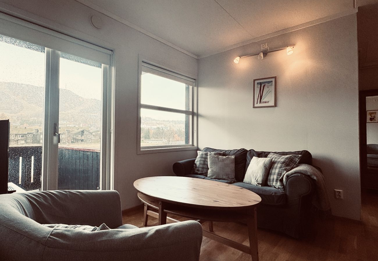Apartment in Hol - Apartment in Solli with beautiful views