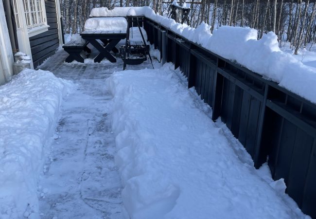 Cabin in Hol - Cosy Cabin close to Geilo Cabin in Hol - Cosy Cabin close to Geilo