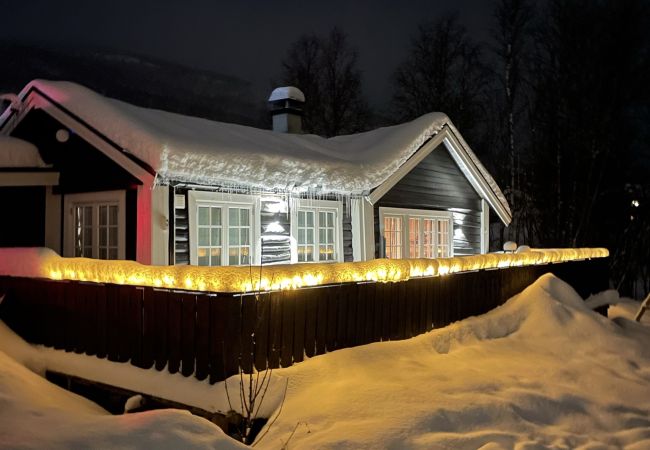 Cabin in Hol - Cosy Cabin close to Geilo Cabin in Hol - Cosy Cabin close to Geilo