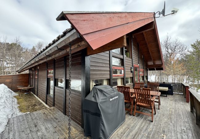 Cabin in Hol - Cozy cabin with secluded and sunny location Cabin in Hol - Cozy cabin with secluded and sunny location