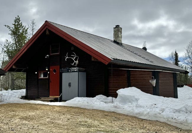 Cabin in Hol - Cozy cabin with secluded and sunny location Cabin in Hol - Cozy cabin with secluded and sunny location