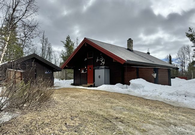 Cabin in Hol - Cozy cabin with secluded and sunny location Cabin in Hol - Cozy cabin with secluded and sunny location