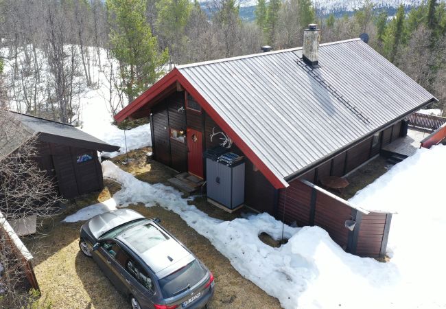 Cabin in Hol - Cozy cabin with secluded and sunny location Cabin in Hol - Cozy cabin with secluded and sunny location