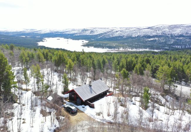 Cabin in Hol - Cozy cabin with secluded and sunny location Cabin in Hol - Cozy cabin with secluded and sunny location