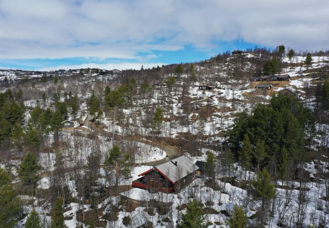 Cabin in Hol - Cozy cabin with secluded and sunny location Cabin in Hol - Cozy cabin with secluded and sunny location