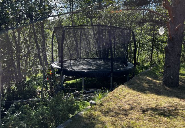 Cabin in Hol - Cozy cabin with secluded and sunny location Cabin in Hol - Cozy cabin with secluded and sunny location