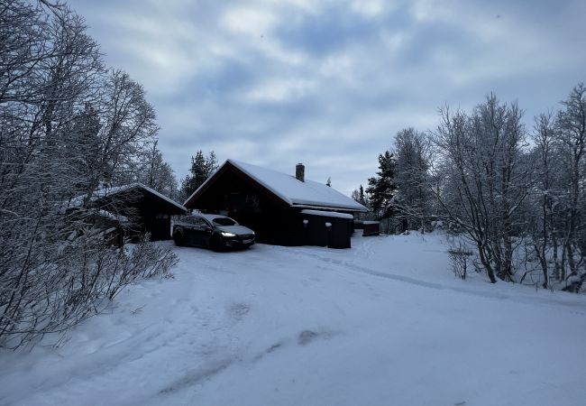 Cabin in Hol - Cozy cabin with secluded and sunny location Cabin in Hol - Cozy cabin with secluded and sunny location