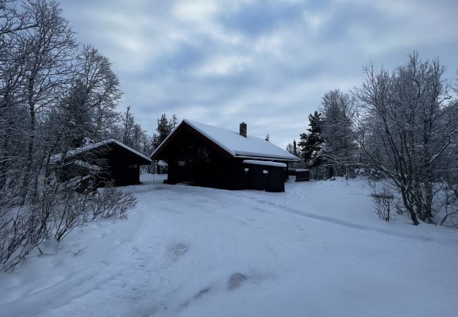 Cabin in Hol - Cozy cabin with secluded and sunny location Cabin in Hol - Cozy cabin with secluded and sunny location