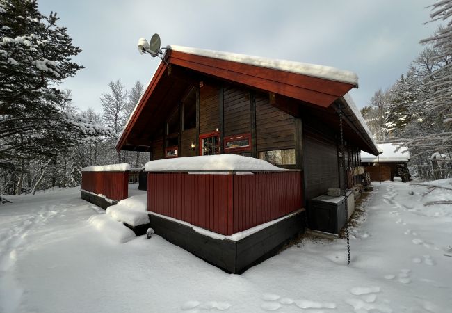 Cabin in Hol - Cozy cabin with secluded and sunny location Cabin in Hol - Cozy cabin with secluded and sunny location