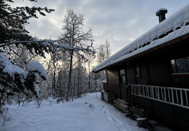 Cabin in Hol - Cozy cabin with secluded and sunny location Cabin in Hol - Cozy cabin with secluded and sunny location