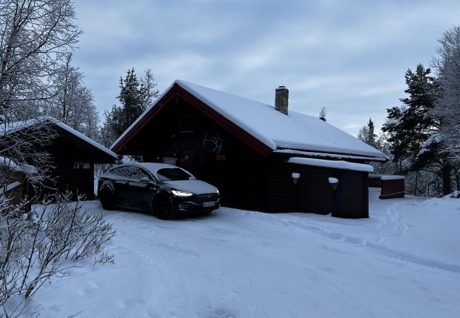 Cabin in Hol - Cozy cabin with secluded and sunny location Cabin in Hol - Cozy cabin with secluded and sunny location