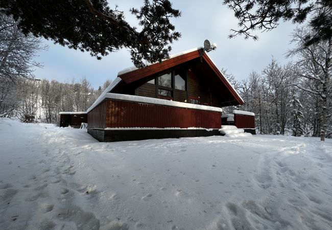 Cabin in Hol - Cozy cabin with secluded and sunny location Cabin in Hol - Cozy cabin with secluded and sunny location