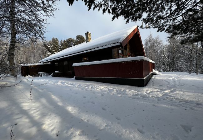 Cabin in Hol - Cozy cabin with secluded and sunny location Cabin in Hol - Cozy cabin with secluded and sunny location