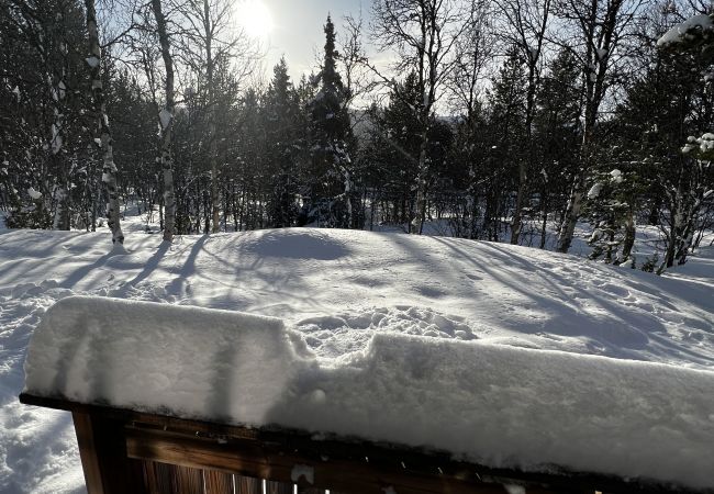 Cabin in Hol - Cozy cabin with secluded and sunny location Cabin in Hol - Cozy cabin with secluded and sunny location