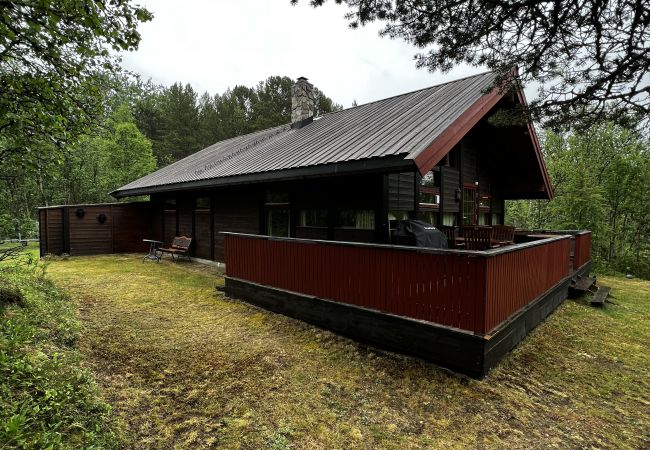 Cabin in Hol - Cozy cabin with secluded and sunny location Cabin in Hol - Cozy cabin with secluded and sunny location