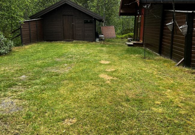 Cabin in Hol - Cozy cabin with secluded and sunny location Cabin in Hol - Cozy cabin with secluded and sunny location