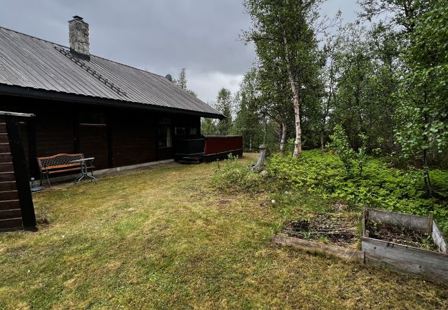 Cabin in Hol - Cozy cabin with secluded and sunny location Cabin in Hol - Cozy cabin with secluded and sunny location