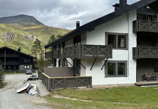 Apartment in Hemsedal -  Kozy apartment centrally located close to Hemsedal ski centre Apartment in Hemsedal -  Kozy apartment centrally located close to Hemsedal ski centre