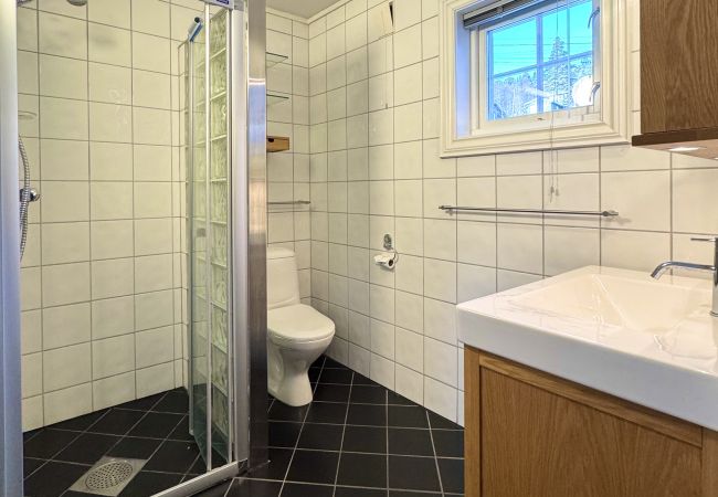 House in Hol -  Centrally located cabin for rent in Geilo – Perfect for all seasons! House in Hol -  Centrally located cabin for rent in Geilo – Perfect for all seasons!