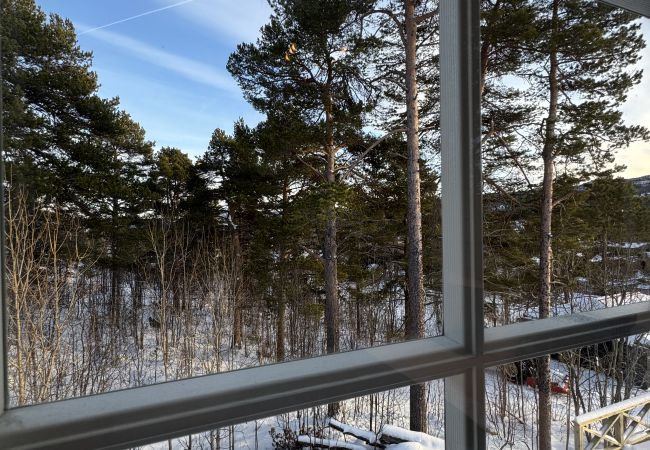House in Hol -  Centrally located cabin for rent in Geilo – Perfect for all seasons! House in Hol -  Centrally located cabin for rent in Geilo – Perfect for all seasons!