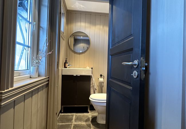 Apartment in Hol - Fantastic Holiday Apartment for Rent in Geilo - Ski In/Out Apartment in Hol - Fantastic Holiday Apartment for Rent in Geilo - Ski In/Out