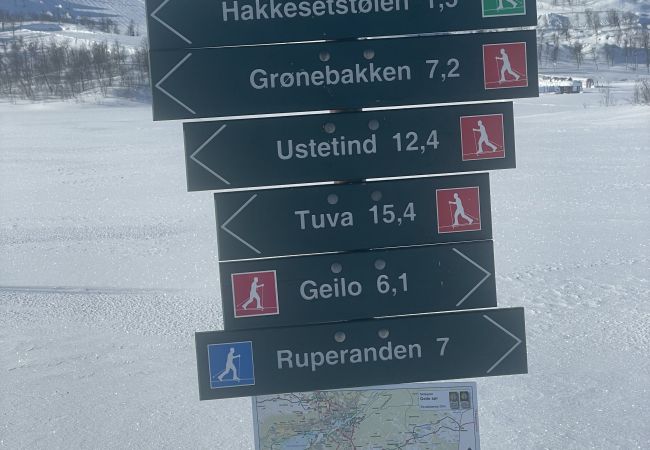 Apartment in Hol - Fantastic Holiday Apartment for Rent in Geilo - Ski In/Out Apartment in Hol - Fantastic Holiday Apartment for Rent in Geilo - Ski In/Out