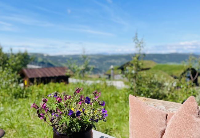 Apartment in Hol - Fantastic Holiday Apartment for Rent in Geilo - Ski In/Out Apartment in Hol - Fantastic Holiday Apartment for Rent in Geilo - Ski In/Out