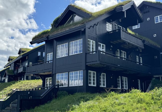 Apartment in Hol - Fantastic Holiday Apartment for Rent in Geilo - Ski In/Out Apartment in Hol - Fantastic Holiday Apartment for Rent in Geilo - Ski In/Out