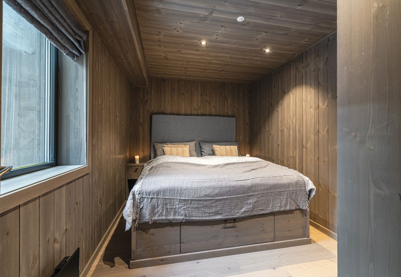 Apartment in Hemsedal - Hemsedal ski in/ski out – new apartment with everything you need