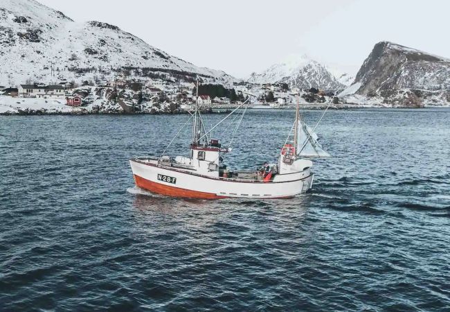 Studio in Flakstad - Seaside Mini-House 5 – Stunning Views Studio in Flakstad - Seaside Mini-House 5 – Stunning Views