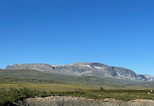 Cabin in Hol - Beautiful Mountain Cabin with great view in Geilo Cabin in Hol - Beautiful Mountain Cabin with great view in Geilo