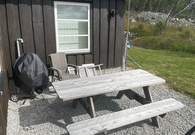 Cabin in Hol - Beautiful Mountain Cabin with great view in Geilo Cabin in Hol - Beautiful Mountain Cabin with great view in Geilo