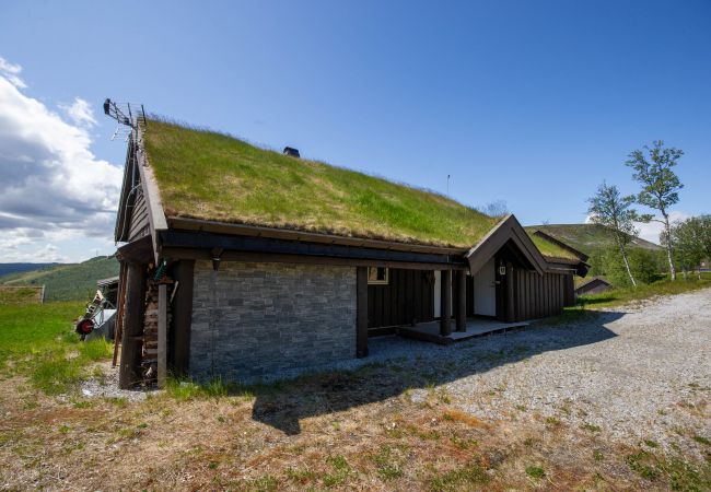 Cabin in Hol - Beautiful Mountain Cabin with great view in Geilo Cabin in Hol - Beautiful Mountain Cabin with great view in Geilo