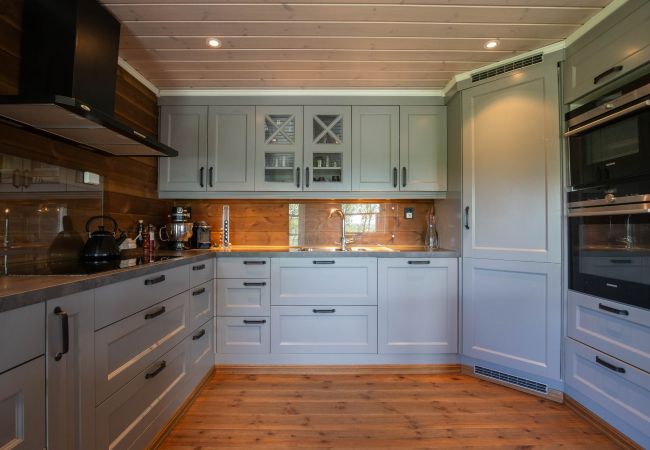 Cabin in Hol - Beautiful Mountain Cabin with great view in Geilo Cabin in Hol - Beautiful Mountain Cabin with great view in Geilo